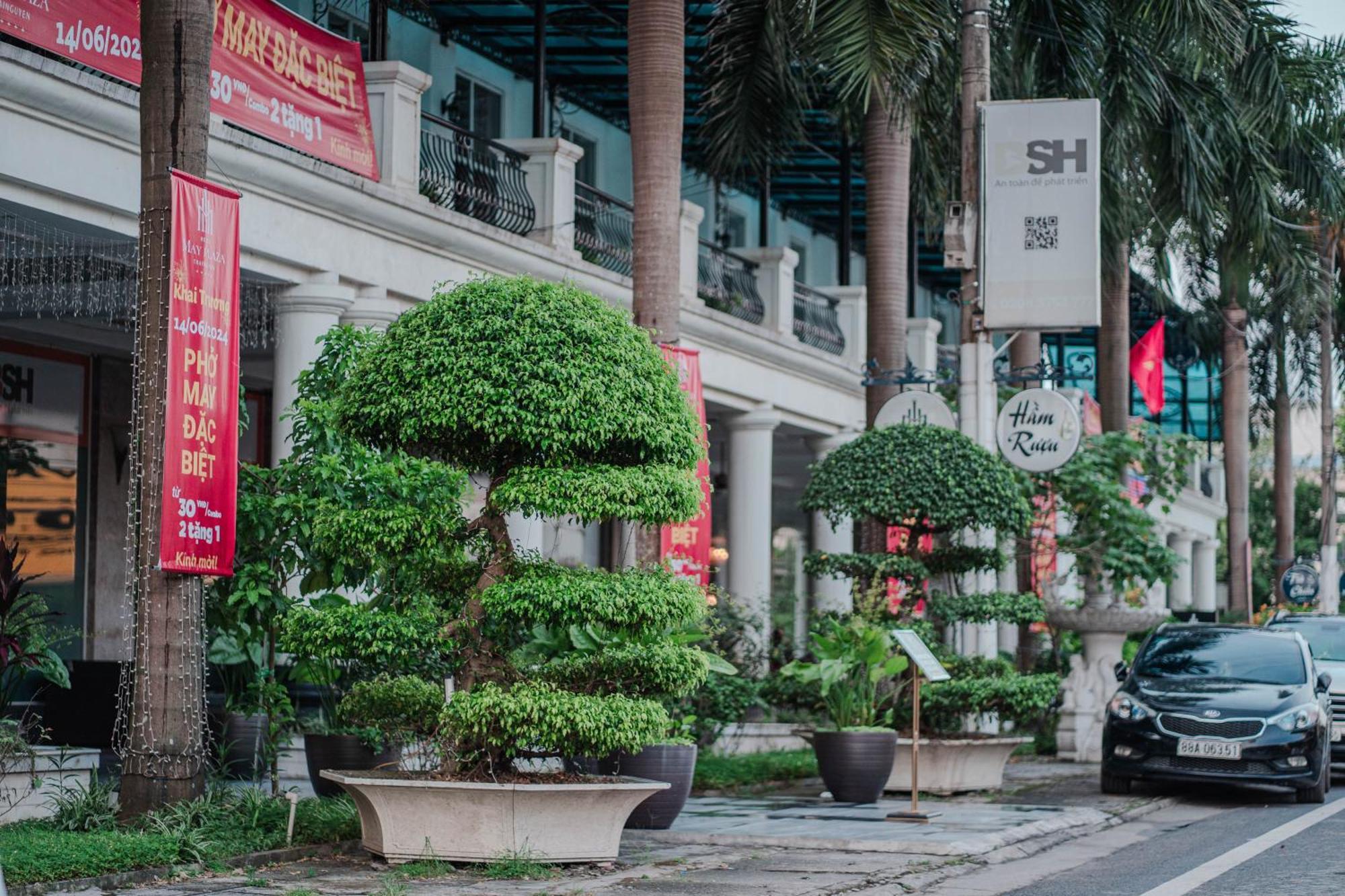 May Plaza Hotel Thai Nguyen Bagian luar foto