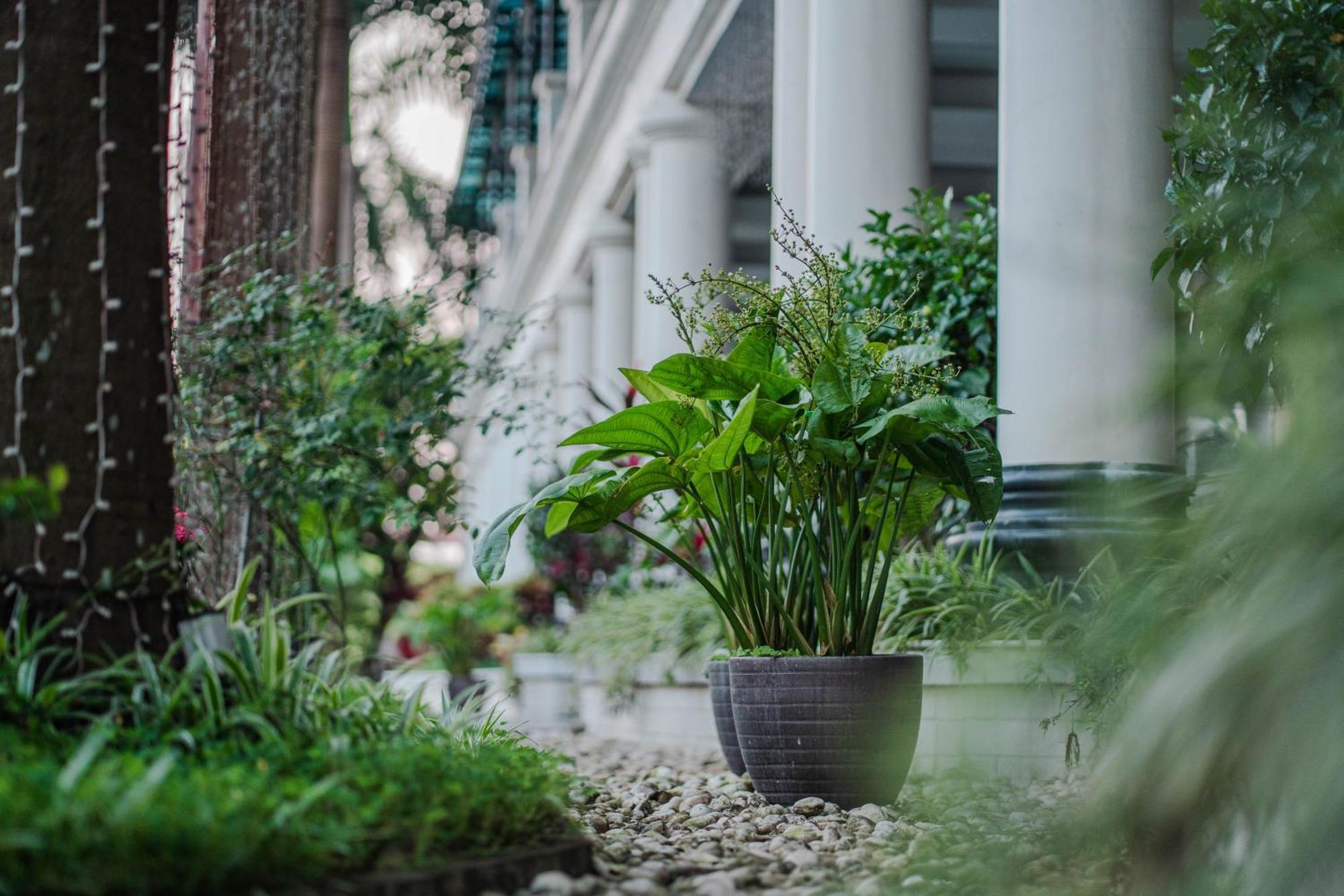 May Plaza Hotel Thai Nguyen Bagian luar foto